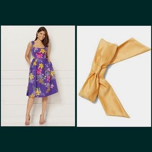 Eva Mendes Catarina Floral Dress & Satin Belt